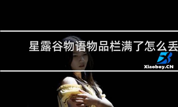 星露谷物语物品栏满了怎么丢