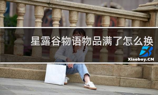 星露谷物语物品满了怎么换