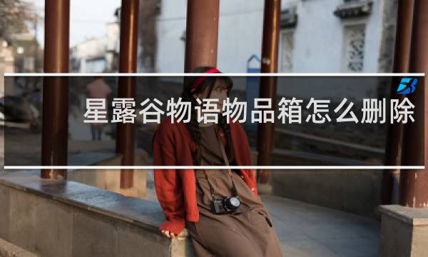 星露谷物语物品箱怎么删除