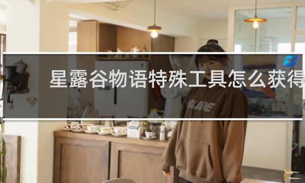星露谷物语特殊工具怎么获得