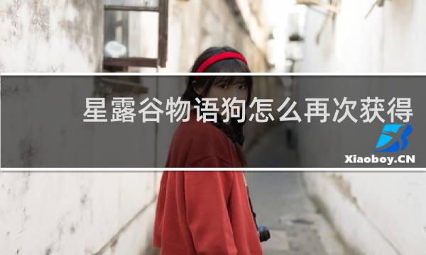 星露谷物语狗怎么再次获得