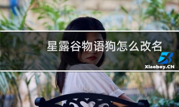 星露谷物语狗怎么改名