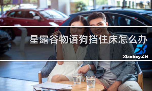 星露谷物语狗挡住床怎么办