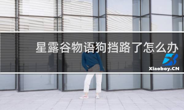 星露谷物语狗挡路了怎么办