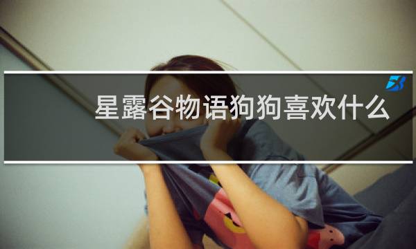 星露谷物语狗狗喜欢什么