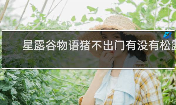 星露谷物语猪不出门有没有松露