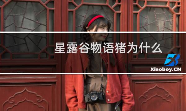 星露谷物语猪为什么