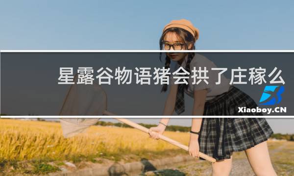 星露谷物语猪会拱了庄稼么