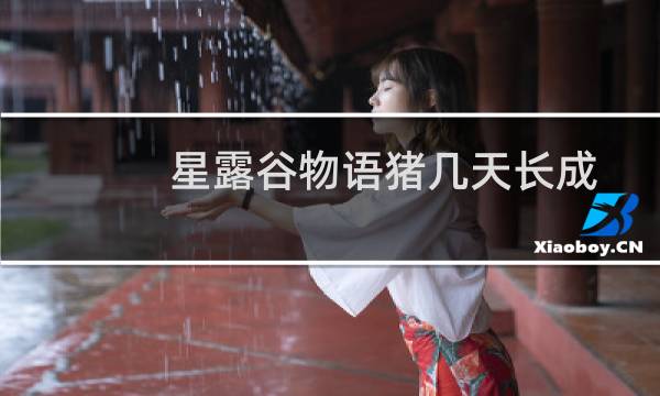 星露谷物语猪几天长成