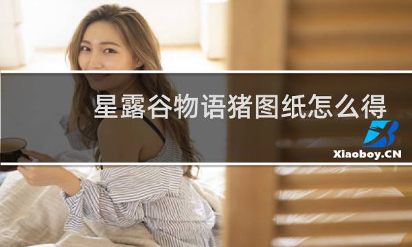 星露谷物语猪图纸怎么得