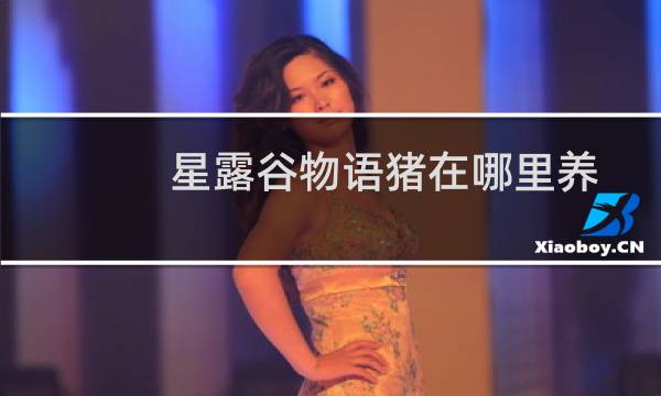 星露谷物语猪在哪里养