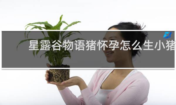 星露谷物语猪怀孕怎么生小猪