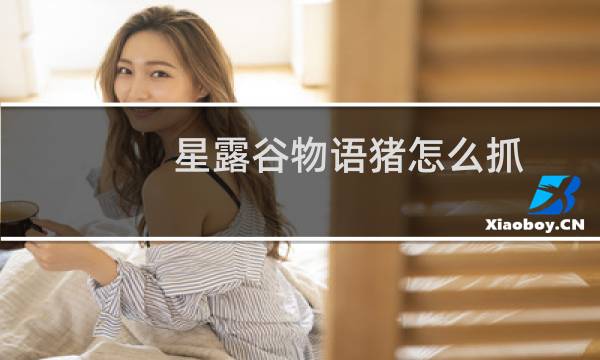 星露谷物语猪怎么抓