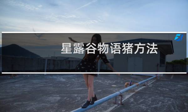 星露谷物语猪方法