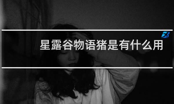 星露谷物语猪是有什么用