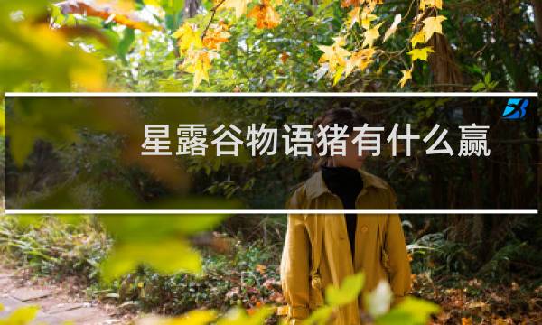 星露谷物语猪有什么赢