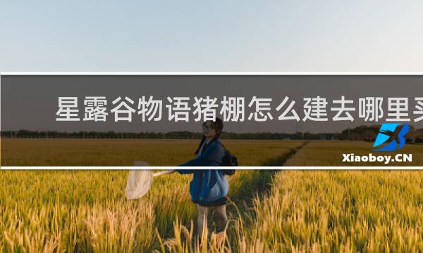 星露谷物语猪棚怎么建去哪里买