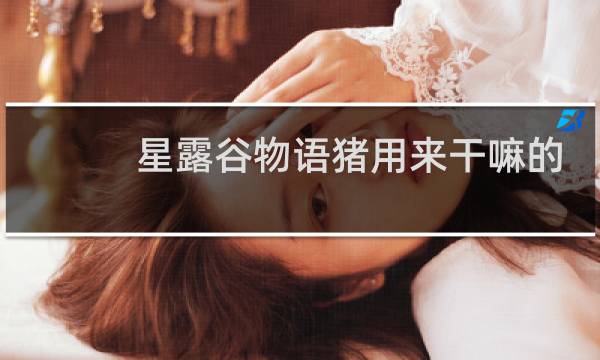 星露谷物语猪用来干嘛的