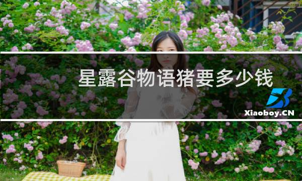 星露谷物语猪要多少钱