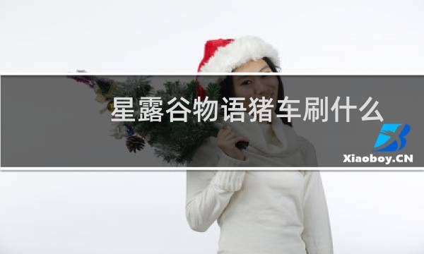 星露谷物语猪车刷什么