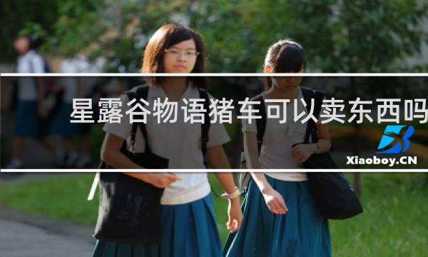 星露谷物语猪车可以卖东西吗