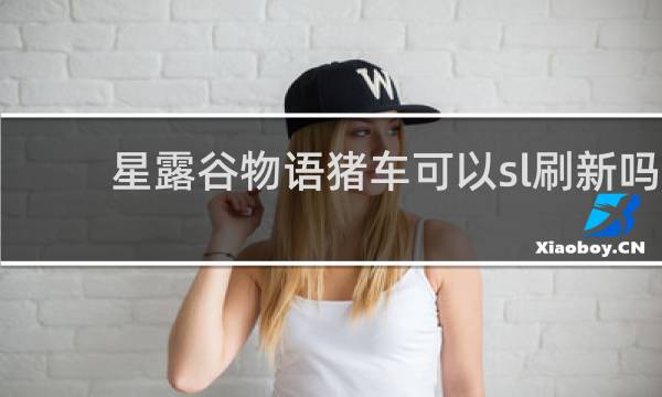 星露谷物语猪车可以sl刷新吗