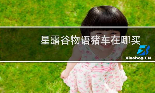 星露谷物语猪车在哪买