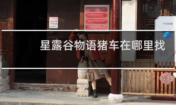 星露谷物语猪车在哪里找