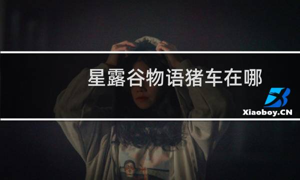 星露谷物语猪车在哪