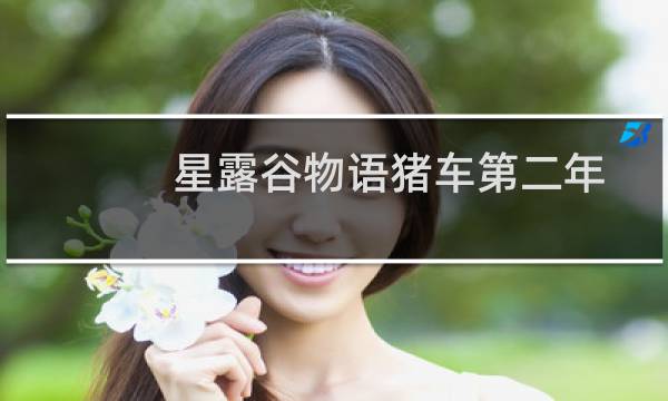 星露谷物语猪车第二年