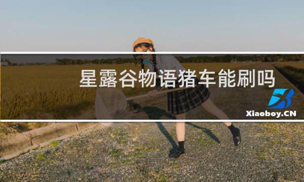 星露谷物语猪车能刷吗
