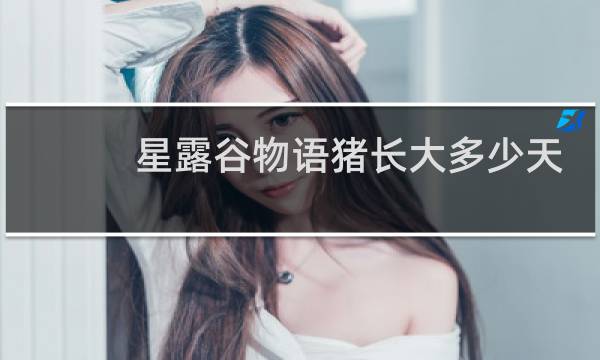 星露谷物语猪长大多少天