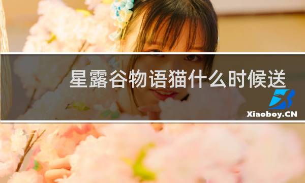 星露谷物语猫什么时候送