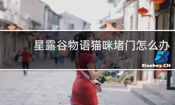 星露谷物语猫咪堵门怎么办