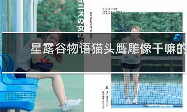 星露谷物语猫头鹰雕像干嘛的