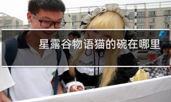 星露谷物语猫的碗在哪里