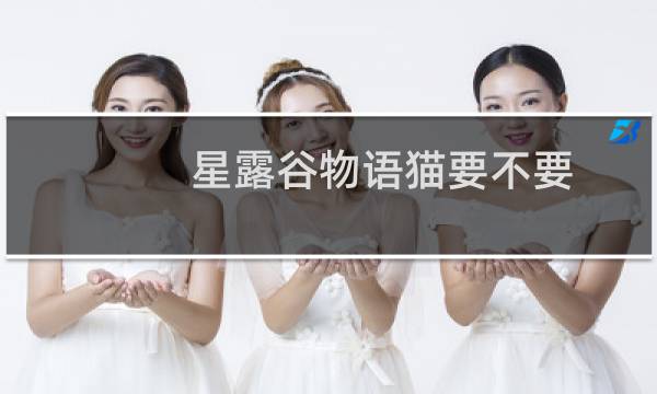 星露谷物语猫要不要