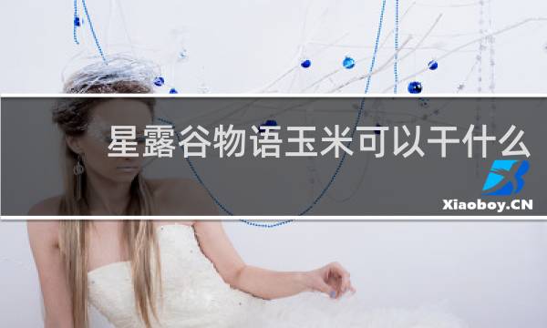 星露谷物语玉米可以干什么