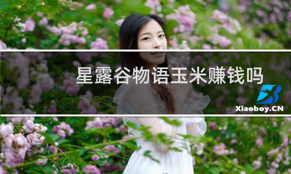 星露谷物语玉米赚钱吗
