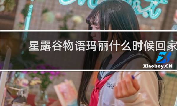星露谷物语玛丽什么时候回家