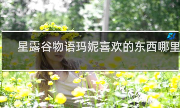 星露谷物语玛妮喜欢的东西哪里买