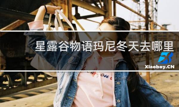 星露谷物语玛尼冬天去哪里