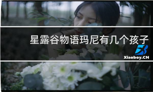 星露谷物语玛尼有几个孩子