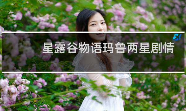 星露谷物语玛鲁两星剧情