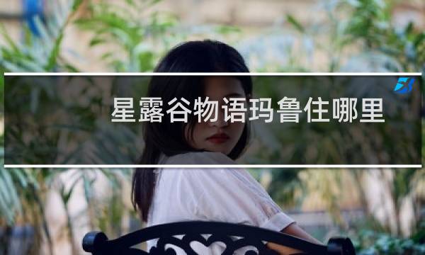 星露谷物语玛鲁住哪里