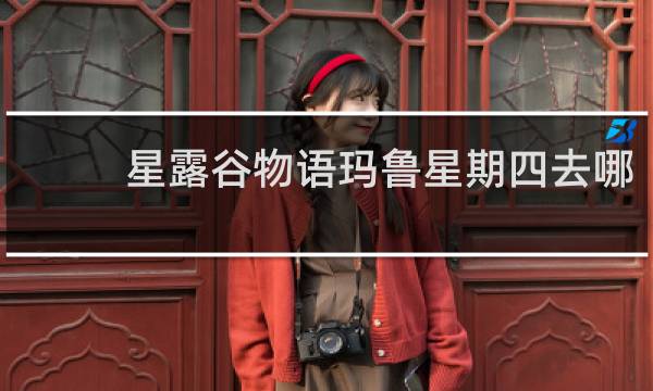 星露谷物语玛鲁星期四去哪