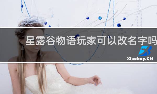 星露谷物语玩家可以改名字吗