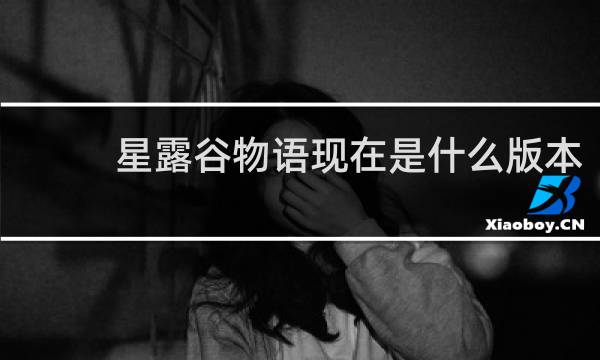星露谷物语现在是什么版本