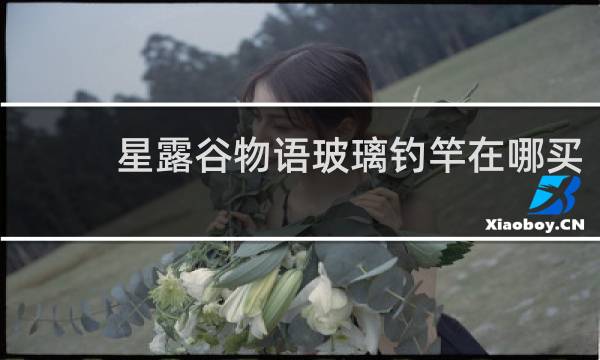 星露谷物语玻璃钓竿在哪买