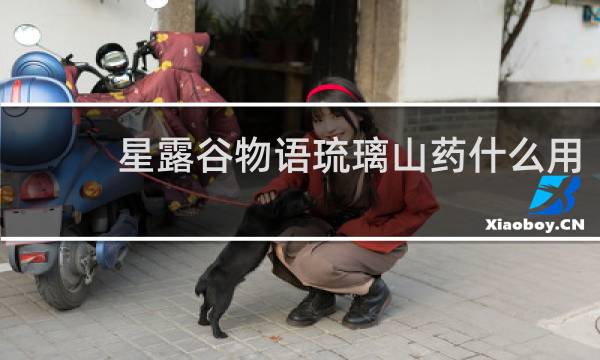 星露谷物语琉璃山药什么用